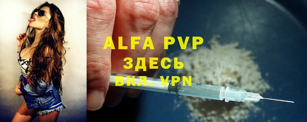 гидра Алексин