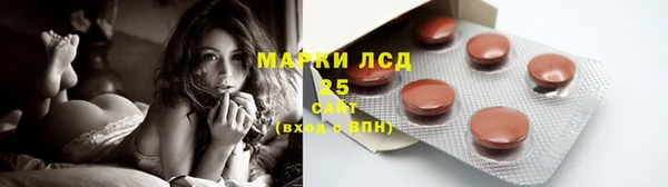 гидра Алексин