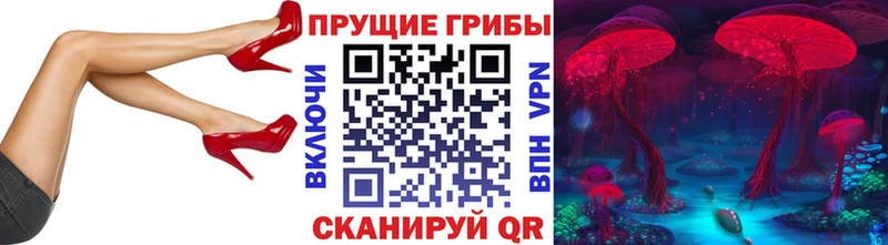 Купить закладки  Городище  Псилоцибиновые грибы GOLDEN TEACHER 